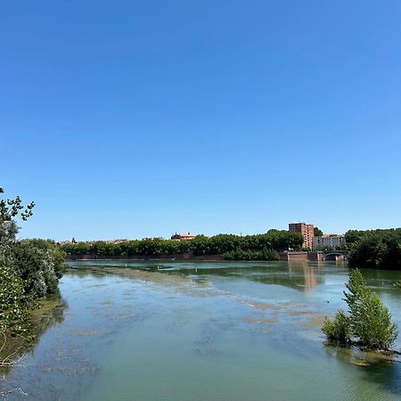 Loft Garonne - Centre Ville Immeuble Privatif Toulouse Luaran gambar