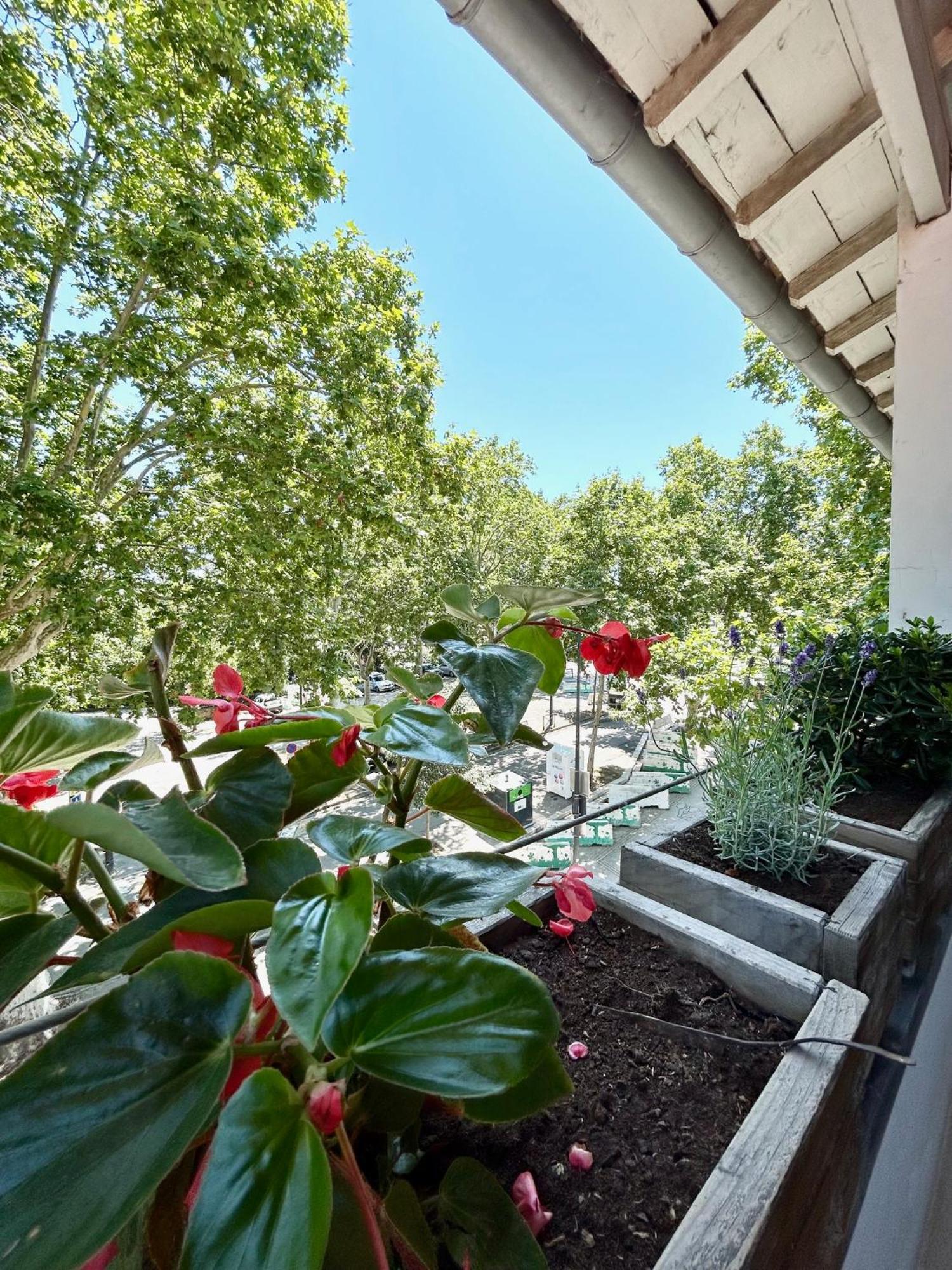 Loft Garonne - Centre Ville Immeuble Privatif Toulouse Luaran gambar
