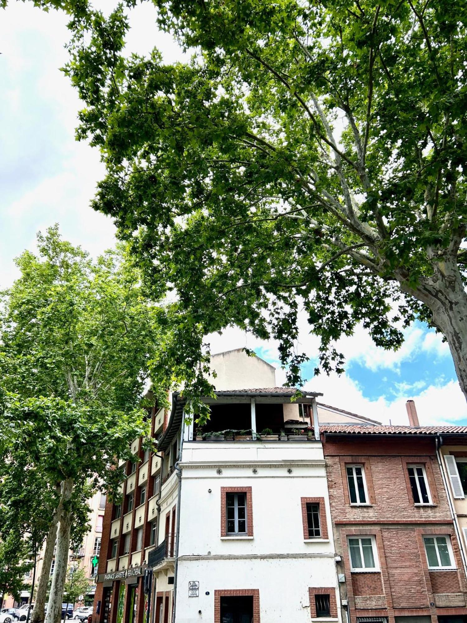 Loft Garonne - Centre Ville Immeuble Privatif Toulouse Luaran gambar
